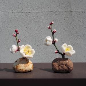 Ume / SONO NITTA