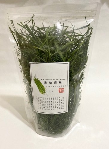 お手軽価格で贈りやすい chiemi.u様 イタリアンライグラス イタリアン