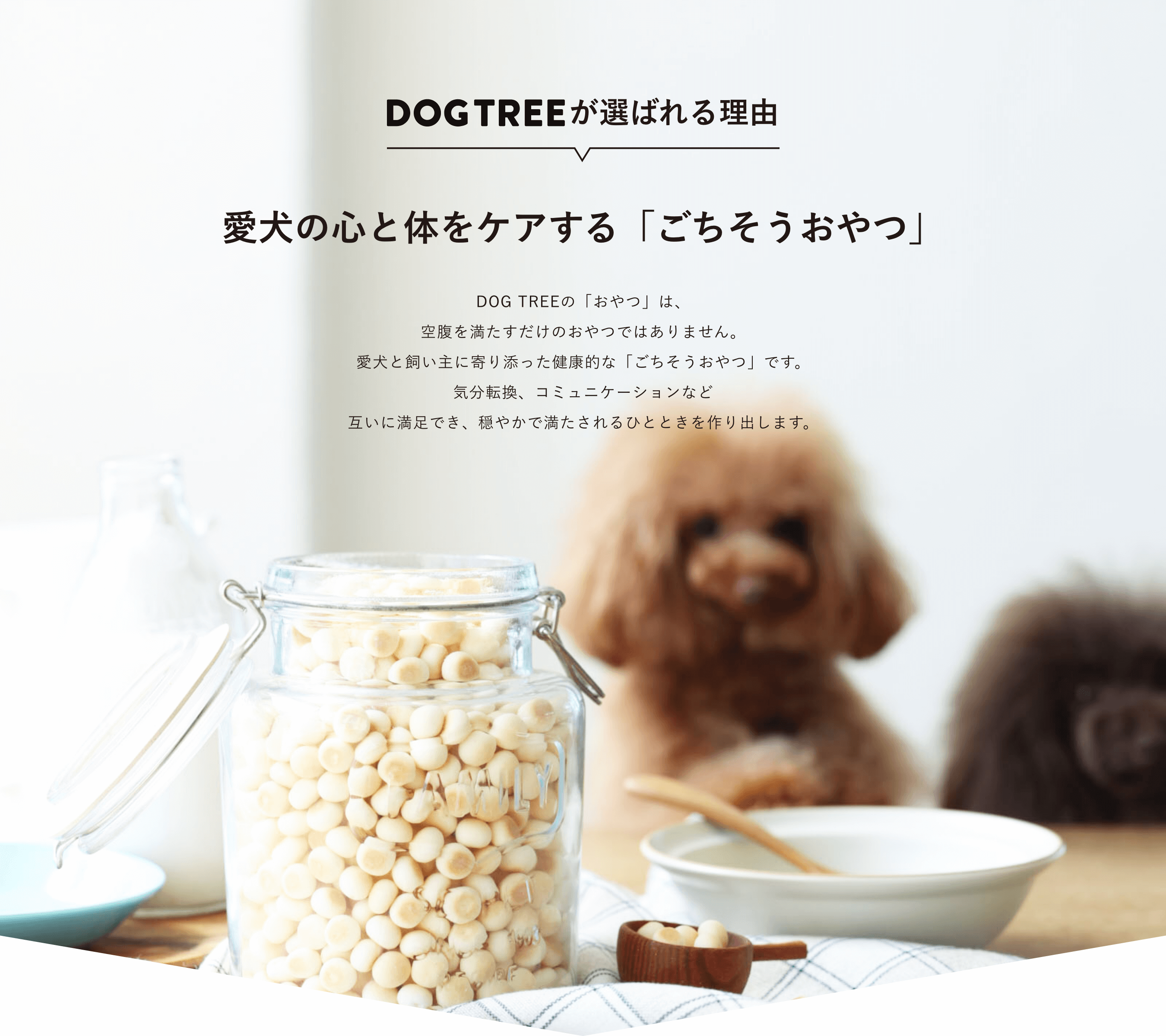 DOGTREEФͳοΤ򥱥֤ġDOG TREEΡ֤ġפϡʢΤĤǤϤޤ󡣰Ȼ˴źäŪʡ֤ġפǤʬžߥ˥ʤɸߤ­Ǥ䤫ҤȤȤФޤ