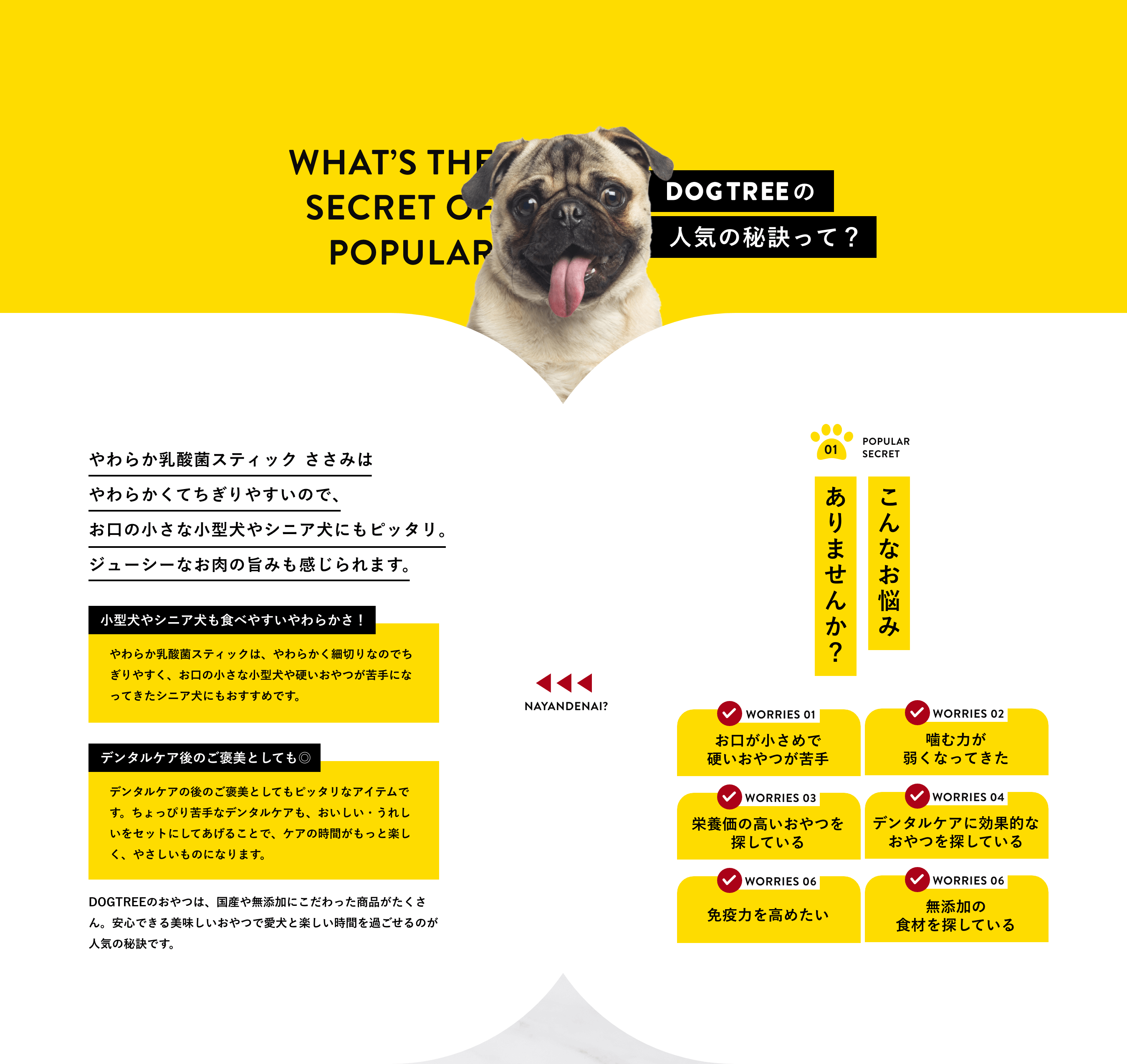 DOGTREEο͵ۤǹŤĤꡢϤ夯ʤäƤܲι⤤ĤõƤ롢ǥ󥿥륱˸ŪʤĤõƤ롢ȱϤ᤿̵źäοõƤ롢ʤǺߤޤ󤫡餫ݥƥåߤϡ餫Ƥ䤹Τǡξʾ䥷˥ˤԥåꡣ塼ʤλݤߤⴶޤ䥷˥⿩٤䤹餫餫ݥƥåϡ餫ڤʤΤǤ䤹ξʾŤĤˤʤäƤ˥ˤ⤪Ǥǥ󥿥륱Τ˫ȤƤǥ󥿥륱θΤ˫ȤƤԥåʥƥǤäԤʥǥ󥿥륱⡢줷򥻥åȤˤƤ뤳Ȥǡλ֤äȳڤ䤵ΤˤʤޤDOGTREEΤĤϡ񻺤̵źäˤäʤ󡣰¿Ǥ̣Ĥǰȳڤ֤ᤴΤ͵Ǥ