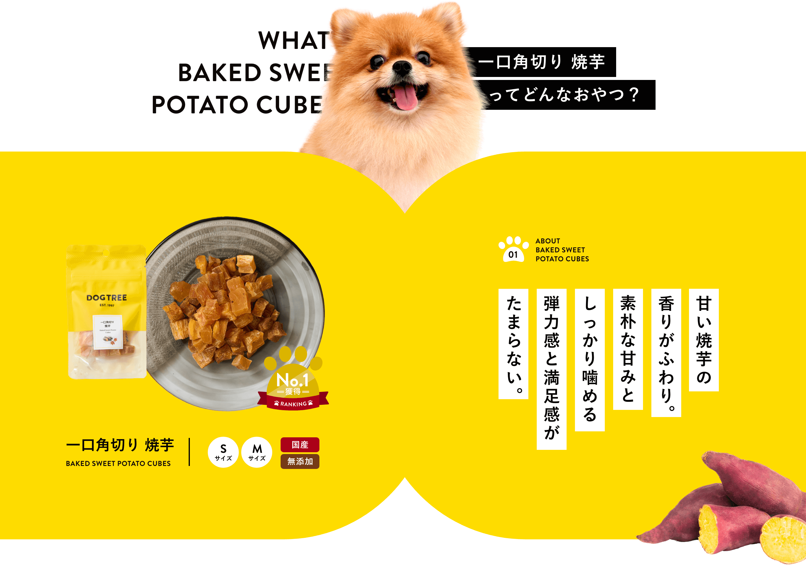 󥭥No1񻺡̵źäΰڤưϡŤưι꤬դꡣѤʴŤߤȤäϴ­ޤޤ󡣥SM2Ǥ