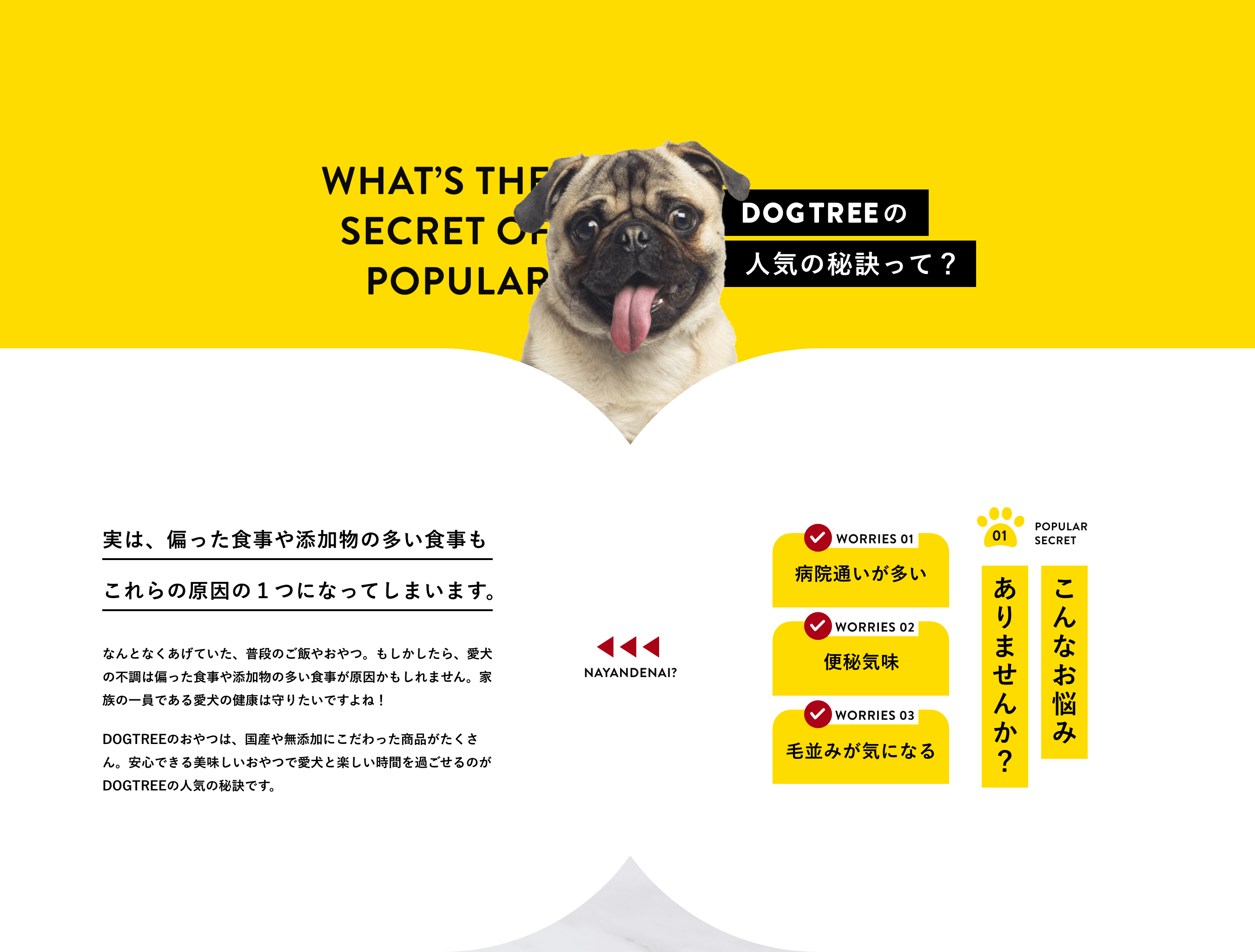 DOGTREEο͵±̤¿뵤̣¤ߤˤʤ롢ʤǺߤޤ󤫡¤ϡФäźʪ¿⤳θ1ĤˤʤäƤޤޤʤȤʤƤʤΤӤ䤪ġ⤷顢ĴФäźʪ¿⤷ޤ󡣲²ΰǤ밦η򹯤ϼꤿǤ͡DOGTREEΤĤϡ񻺤̵źäˤäʤ󡣰¿Ǥ̣Ĥǰȳڤ֤ᤴΤDOGTREEο͵Ǥ