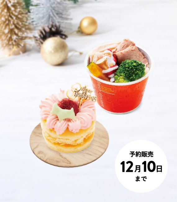 <img class='new_mark_img1' src='https://img.shop-pro.jp/img/new/icons1.gif' style='border:none;display:inline;margin:0px;padding:0px;width:auto;' />【クリスマス限定 愛犬用】X'masハッピーケーキセット