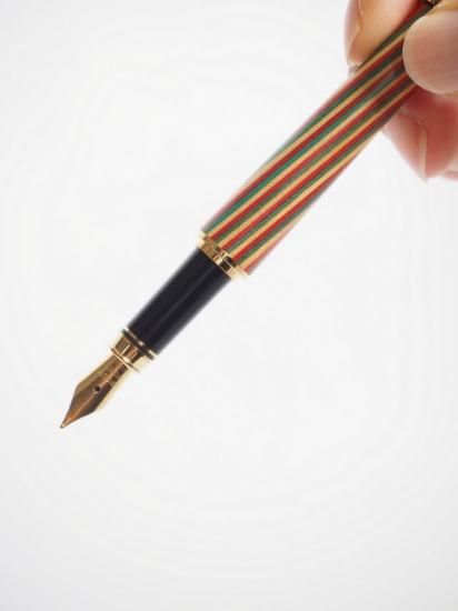 豪華セット　万年筆まとめ売り！ Amazon | セーラー万年筆 万年筆 プロフィット21 マルン 中字 11