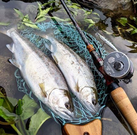 トラウト用品 - FISHING SERVICE MAREBLE