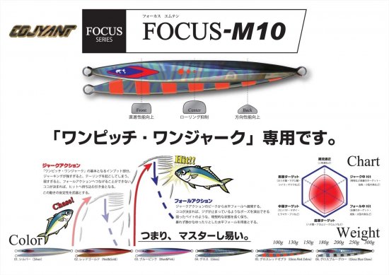 FOCUS M10(フォーカス エムテン）グロス ※サイズにより価格は異なり 