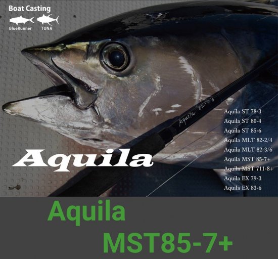 リップルフィッシャー　Aquila(アクイラ） MST 85-7+ - FISHING SERVICE MAREBLE