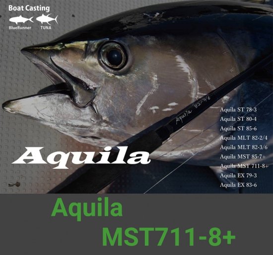 リップルフィッシャー Aquila(アクイラ） MST 711-8+ - FISHING