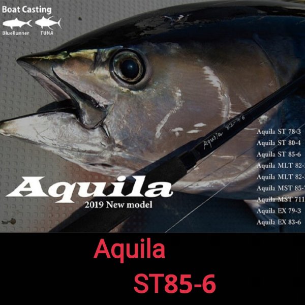 リップルフィッシャー　Aquila(アクイラ） ST85-6 - FISHING SERVICE MAREBLE