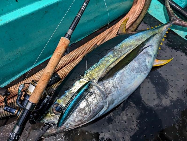 楽天市場】RESPECT190F グッドベイト 魚じゃらし工房 リスペクト